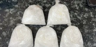 Police Arrest Suspect for Drug Possession