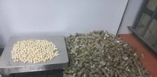 Intelligence-Led Operation in Standerton Results in Drug Arrest Intelligence-Led Operation in Standerton Results in Drug Arrest