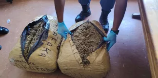 Drug Bust in Upington Yields R670,500 in Dagga, Suspect Arrested