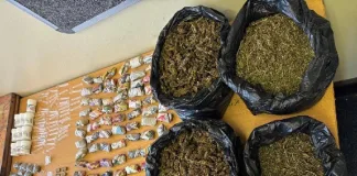 SAPS Arrests Suspect in Intelligence-Led Drug Operation SAPS Arrests Suspect in Intelligence-Led Drug Operation