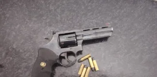 Police Arrest Two Suspects in Steenberg Following Firearm Seizure