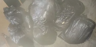 Two Men Arrested for Alleged Dagga Dealing Two Men Arrested for Alleged Dagga Dealing