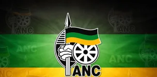 Free State ANC Claims Progress Towards Party Stabilisation Amid Branch Elections and Municipal Challenges