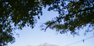 Why more families are choosing wine estates for “famcay” destinations