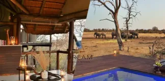 Dream Hotels & Resorts expands African footprint with two Botswana safari lodges