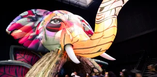 Its Entertainment GALORE at The Rand Show 2026 Jungle Magic - Rand Show 2026