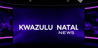 KZN Premier Urges Swift Renewal of Provincial Police Commissioner's Contract Amid Uncertainty