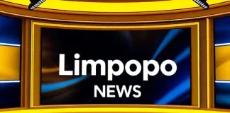Limpopo's Jobless Rate Falls, Yet Concerns Mount Over Youth Exclusion and 'Discouraged' Workers