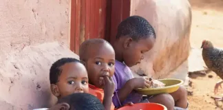 The economic implications of the high rate of Stunting in Children on the economy of South Africa The economic implications of the high rate of Stunting in Children on the economy of South Africa