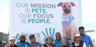 World Spay Day campaign was a huge success! World Spay Day campaign was a huge success!