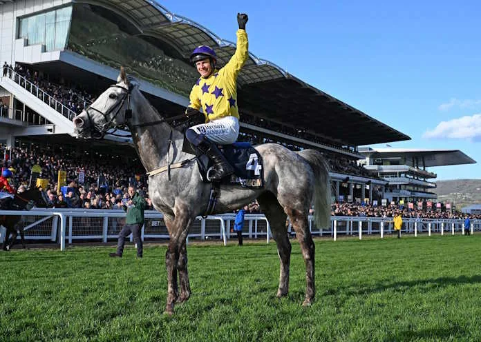 SA Flag Flies High At World-Renowned Festival - Champagne as SA owners claim historic first win at Cheltenham