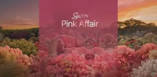 WHAT’S ON? A day of pink at Sun City Pink Affair