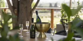 Stellenbosch Wine Route Gets a Fresh Spot at Avontuur Estate