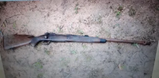 Foreign National Arrested After Shootout with Rangers in Kruger National Park