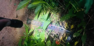 Police Recover Murder Weapon in Bronville Homicide Investigation