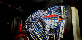 SAPS Flying Squad Intercepts Illicit Cigarettes Worth R50,000 in Limpopo, Arrests Zimbabwean National