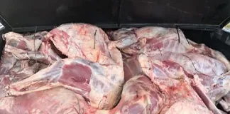 Four Arrested in Connection with Stock Theft