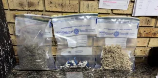 Elderly Man to Appear in Court for Bail After Drug Raid in Parys