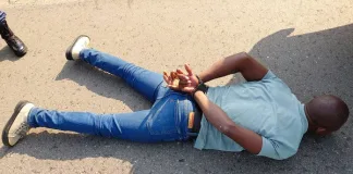 Police Arrest Suspect, Recover Stolen Vehicle in Mpumalanga