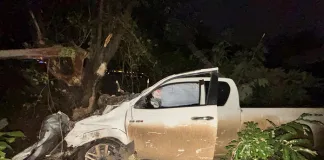 Suspect Arrested After High-Speed Pursuit; Stolen Vehicle Recovered
