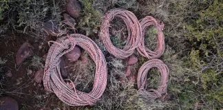 Police Arrest Three Suspects After Copper Cable Theft on Hanover Farm