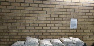 Suspect Arrested in Delft with Mandrax Tablets Valued at R2.76 Million