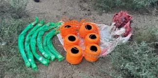 Police Investigate Explosives and Illicit Cigarettes Found Behind Musina Truck Park Police Investigate Explosives and Illicit Cigarettes Found Behind Musina Truck Park