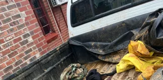Mpumalanga for Ammunition Possession, Stock Theft, and Illegal Hunting