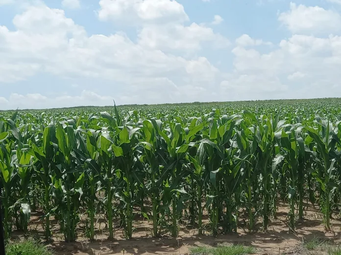 Earth-Day_ Earth Day: How agriculture is shaping a more sustainable future