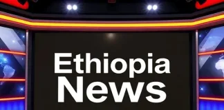 Fuel Crisis Paralyzes Addis Ababa as Diesel Supplies Drop by Half