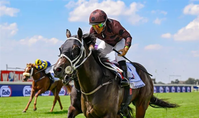 Jockey Muzi Yeni