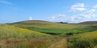 Exciting New Trail Runs Launched at Crocworld Conservation Centre in Scottburgh