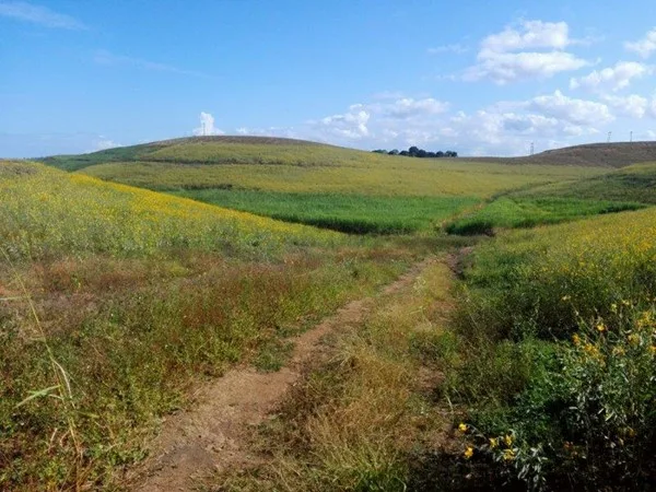 Picture6 Exciting New Trail Runs Launched at Crocworld Conservation Centre in Scottburgh