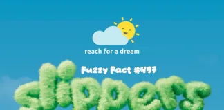 Reach For A Dream launches bold ‘Fuzzy Facts’ campaign for Slipper Day 2026