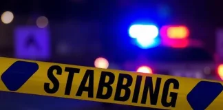 Man Arrested After Stabbing Wife in Monte Vista Historic Neighborhood Man Arrested After Stabbing Wife in Monte Vista Historic Neighborhood