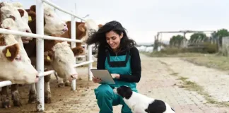 The Little-Known Role of Veterinarians in Supporting South Africa’s Economy The Little-Known Role of Veterinarians in Supporting South Africa’s Economy