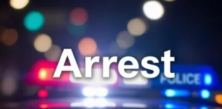High-Speed Pursuit on I-37 Ends in Crash into Bexar County Patrol Vehicle, Leading to Arrest of Wanted Man
