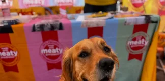Jozi’s biggest feel-good day for animals is back