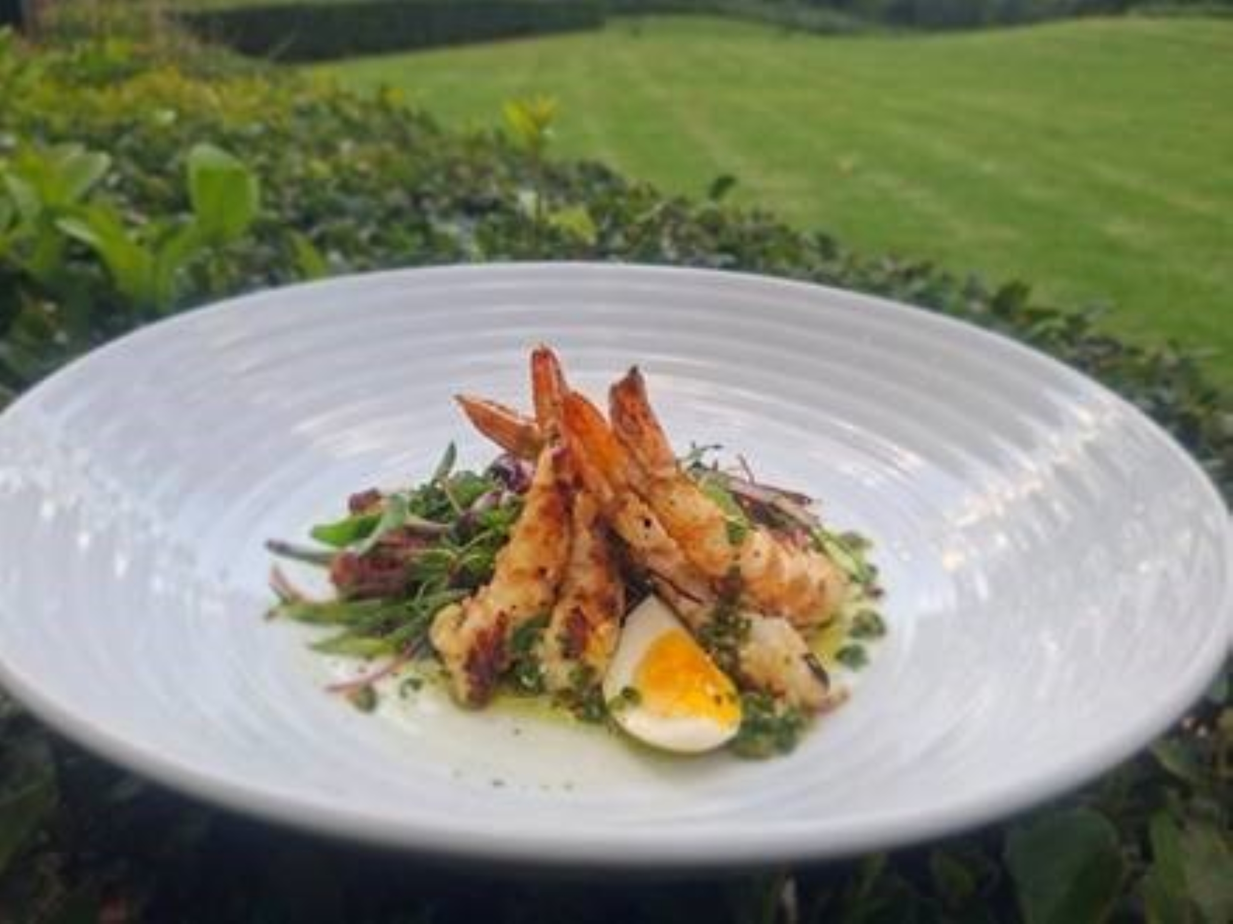 prawn Niçoise salad