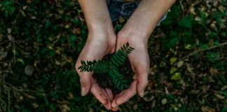 Earth Day 2026: How food banking can cut emissions and feed millions Earth Day 2026: How food banking can cut emissions and feed millions