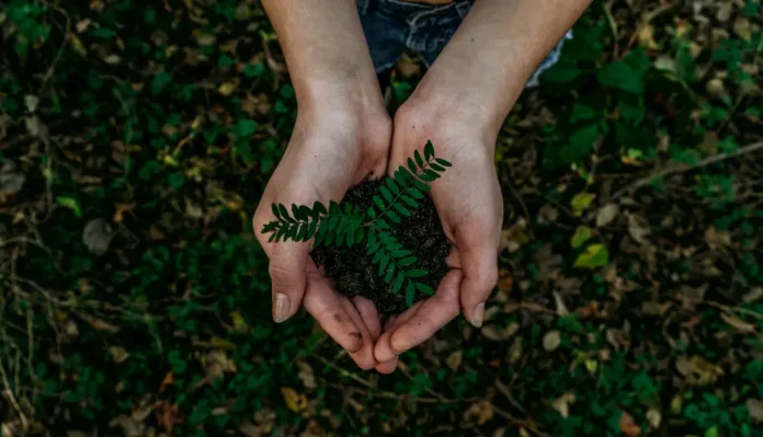 Earth Day 2026: How food banking can cut emissions and feed millions Earth Day 2026: How food banking can cut emissions and feed millions