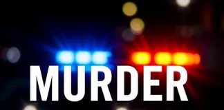 Man Sentenced to 15 Years for Murder of Brother-in-Law
