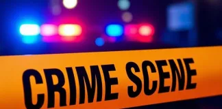 SAPS and Private Security Foil Business Robbery Plot in Midrand Shootout; One Suspect Dead
