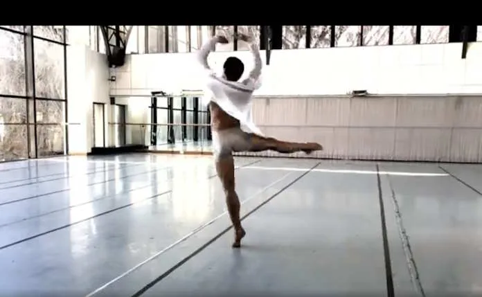Radix - Mario Gaglione (Italy/South Africa)   - JOMBA! Digital Open Horizons 2025
