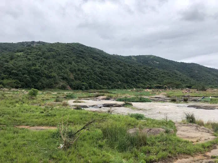 RURAL SA