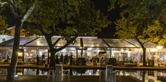 Q&A with Changemakers Honoured at 2026 Wine Harvest Commemorative Event