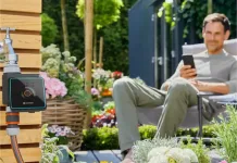 5 AUTUMN GARDEN MISTAKES THAT COULD COST YOU IN SUMMER