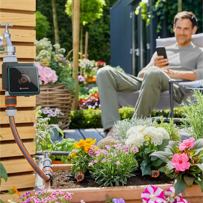 5 AUTUMN GARDEN MISTAKES THAT COULD COST YOU IN SUMMER 5 AUTUMN GARDEN MISTAKES THAT COULD COST YOU IN SUMMER