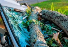 Storm-proof your finances: 14 tips for disaster preparedness Storm-proof your finances: 14 tips for disaster preparedness