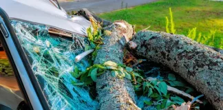 Storm-proof your finances: 14 tips for disaster preparedness Storm-proof your finances: 14 tips for disaster preparedness